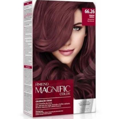 TINT AMEND MAGNIFIC COL.  66.26 MARSALA