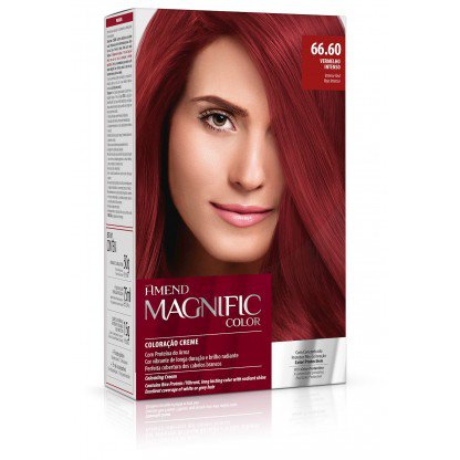 TINT AMEND MAGNIFIC COL.  66.60 VERM.INT